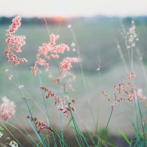 Meet your Posher, Gracie